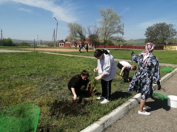 Международная акция  &amp;quot;Сад памяти&amp;quot;.